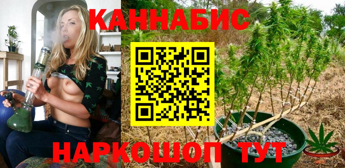 Каннабис OG Kush  Канабис гибрид  Казань  Бошки Шишки план  Вход с VPN 